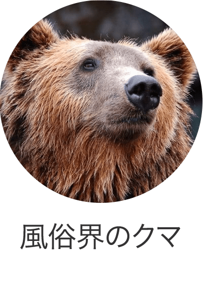 風俗界のクマ