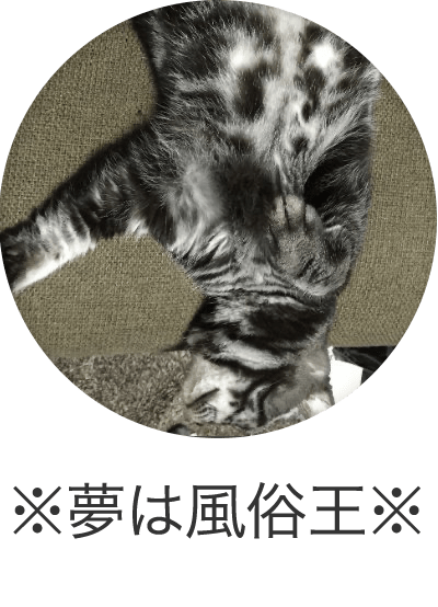 ※夢は風俗王※