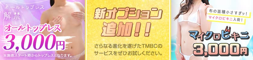 新オプション追加